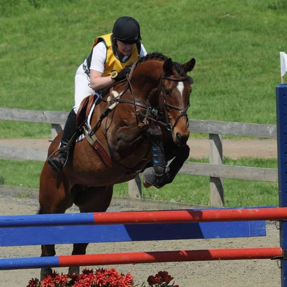 Meet your Posher, Anne - Picture 1 of 1